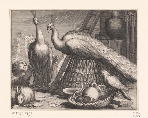 Peacocks, Boëtius Adamsz. Bolswert, 1611 Canvas Print