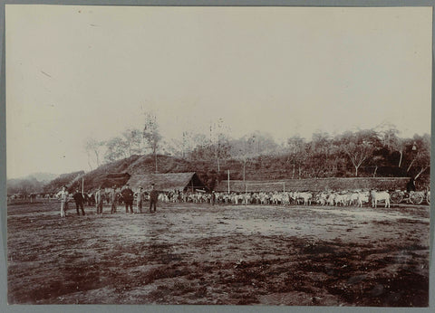 Horse stable with sapis in Krueng Seumpo, anonymous, 1903 - 1913 Canvas Print