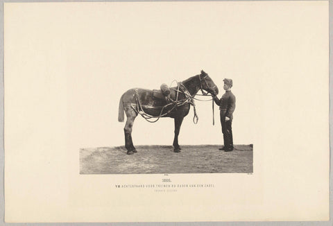 Rigged army horse, held by soldier, anonymous, 1895 Canvas Print