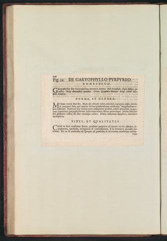 Fig. 54 'De Garyophyllo Pvrpvreo' in De Boodts herbarium of 1640, Anselm Boëtius de Boodt, 1640 Canvas Print