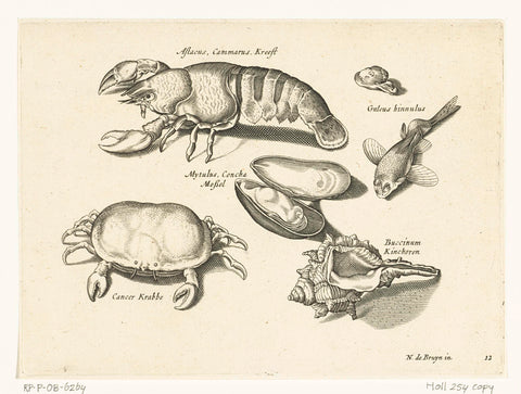 Lobster, crab and shells, Nicolaes de Bruyn, 1581 - 1652 Canvas Print