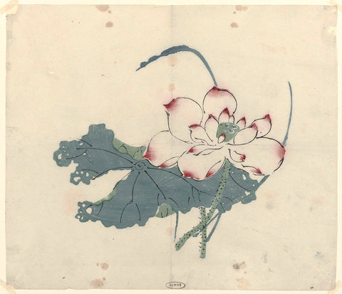 Lotus, anonymous, c. 1600 - c. 1625 Canvas Print