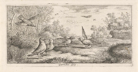 Landscape with jays, Albert Flamen, 1648 - 1692 Canvas Print