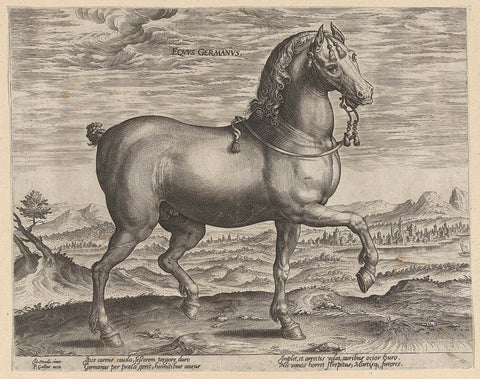 Stallion from Germany, Hendrick Goltzius (possibly), c. 1578 - c. 1582 Canvas Print