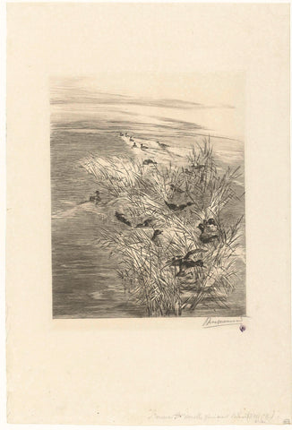 Landscape with ducks or eelegs in water between reeds, Félix Bracquemond, 1860 - 1914 Canvas Print