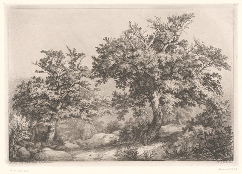 Landscape with two oaks, Eugène Bléry, 1842 Canvas Print