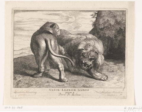 Lion with lioness, Abraham Bloteling, 1655 - 1690 Canvas Print