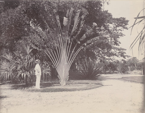 Tree at a tree, Andries August Tree, 1908 Canvas Print