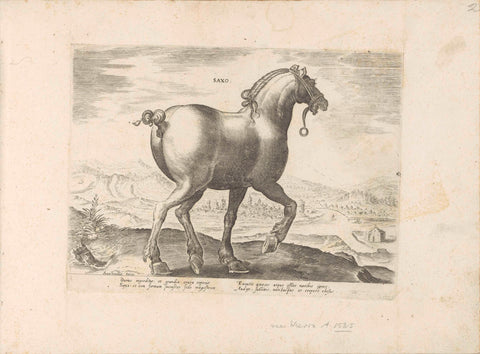 Horse from Saxony, anonymous, 1624 - before 1648 Canvas Print