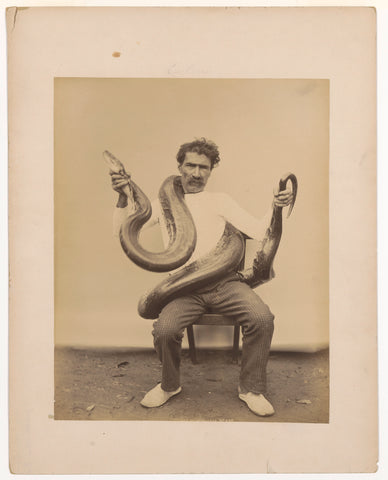 Portrait of an unknown man on a chair with a boa constrictor around his neck, anonymous, 1880 - 1900 Canvas Print