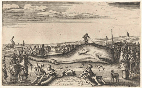 Stranded sperm whale on the beach in Noordwijk, 1614, Esaias van de Velde, 1645 Canvas Print