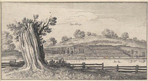 River landscape with tree stump near Albury, Wenceslaus Hollar, 1645 Canvas Print