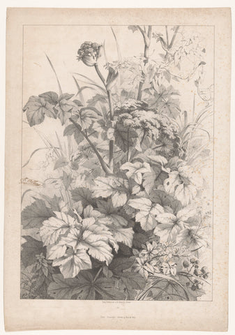 Veldbloemen, Eugène Bléry, c. 1856 - c. 1860 Canvas Print