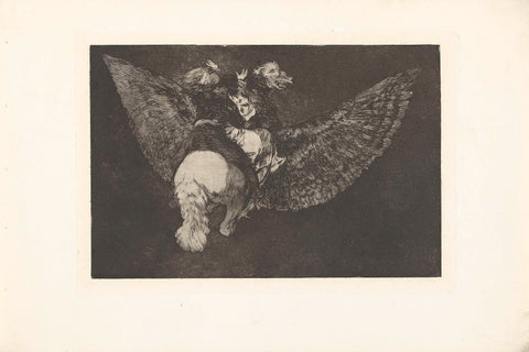 Flying folly, Francisco de Goya, 1864 Canvas Print