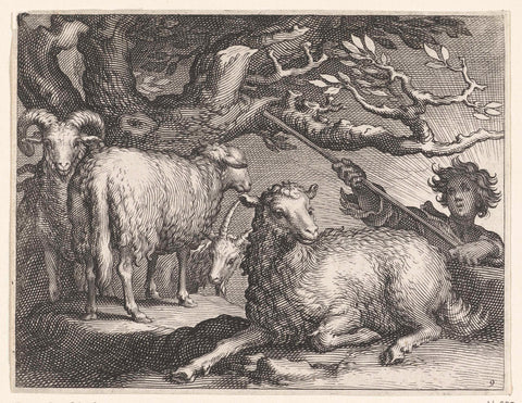 Shepherd with sheep, Boëtius Adamsz. Bolswert, 1611 Canvas Print