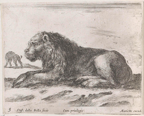 Reclining lion, Stefano della Bella, 1620 - 1664 Canvas Print