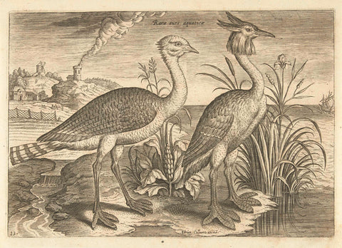 Two wading birds in a landscape, Adriaen Collaert, 1598 - 1602 Canvas Print