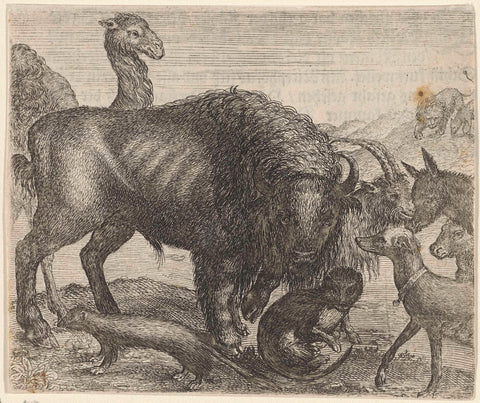 Fable of the bison and other animals, Aegidius Sadeler, 1608 Canvas Print