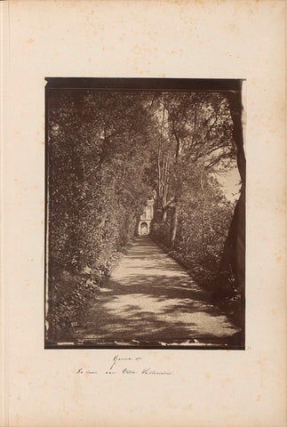 Path in the garden of Villa Pallavicini in Pegli, anonymous, 1876 Canvas Print