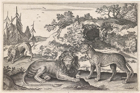 Lions and leopard, Adriaen Collaert, 1628 - 1679 Canvas Print