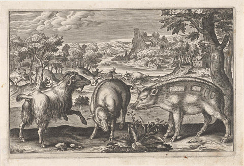 Goat and boars, Adriaen Collaert, 1595 - 1652 Canvas Print