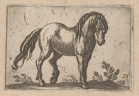 Standing horse to the right, Antonio Tempesta, 1565 - 1630 Canvas Print