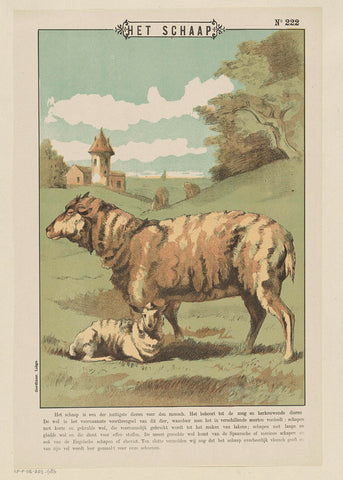 The sheep, Gordinne, 1894 - 1959 Canvas Print