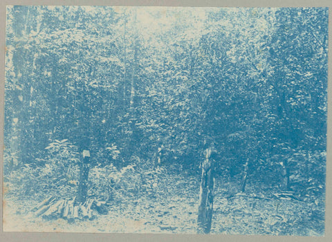 Cemetery in Berlin, Hendrik Doijer (attributed to), 1906 - 1913 Canvas Print