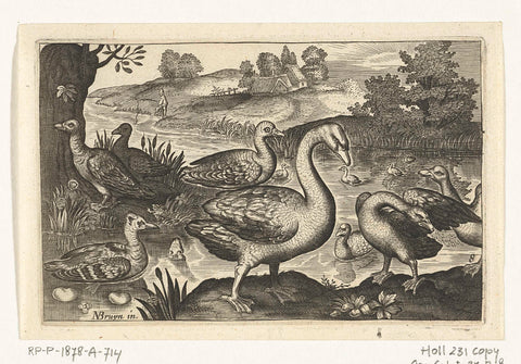 Swan and geese and ducks, Nicolaes de Bruyn, 1594 - 1644 Canvas Print