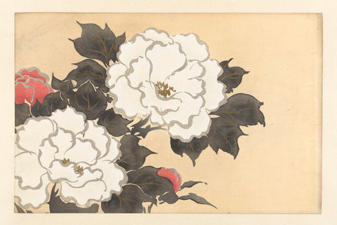 Pioenrozen, Kamisaka Sekka, 1909 Canvas Print