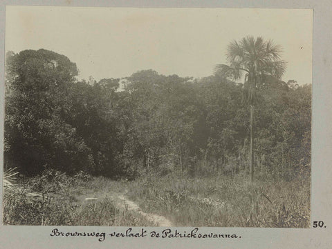 Brownsweg verlaat de Patricksavanna, Hendrik Doijer (attributed to), 1906 - 1913 Canvas Print