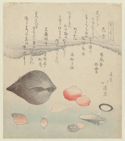 Flower shell, red shell and the pure red shell, Totoya Hokkei, 1821 Canvas Print