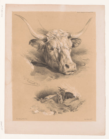 Studies of the head of a cow and two goats, Pierre Frédéric Lehnert, 1838 - 1840 Canvas Print