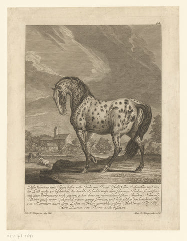 Special tiger fungus, Martin Elias Ridinger, 1740 - 1780 Canvas Print