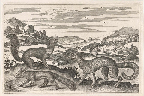 Martens, squirrels and a fox, Adriaen Collaert, 1628 - 1679 Canvas Print