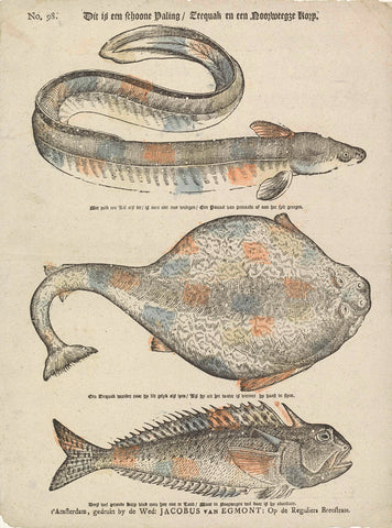 This is a beautiful eel / Zeequak and a Norwegian korp, widow Jacobus van Egmont, 1724 - 1761 Canvas Print