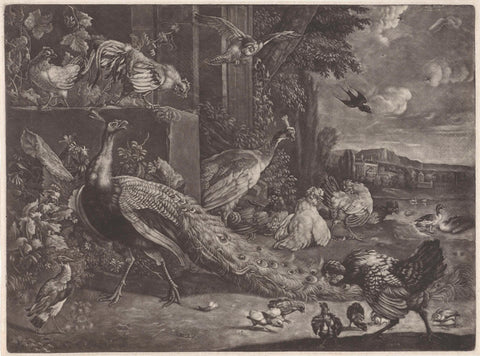 Landscape with poultry, anonymous, 1662 - 1726 Canvas Print