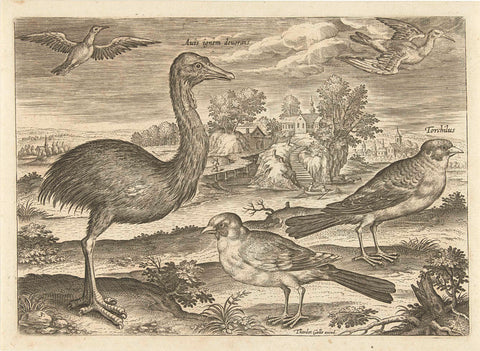 Some birds in a landscape, Adriaen Collaert, 1598 - 1618 Canvas Print