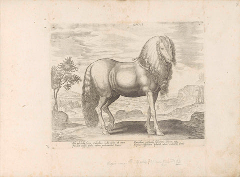 Horse from Romania (Dacus), anonymous, 1624 - before 1648 Canvas Print